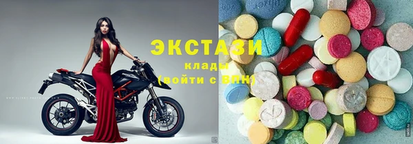 хмурый Аркадак
