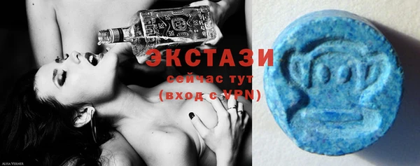 хмурый Аркадак