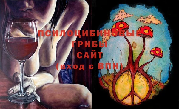 PSILOCYBIN Алексеевка