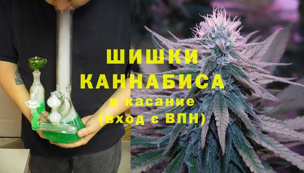 ешки Арсеньев
