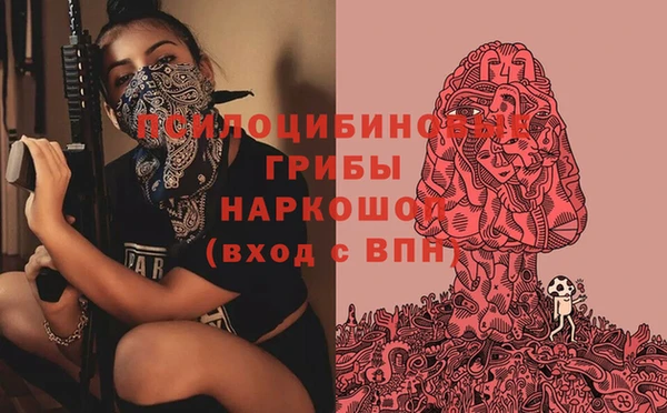 PSILOCYBIN Алексеевка