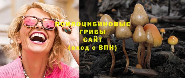 ешки Арсеньев