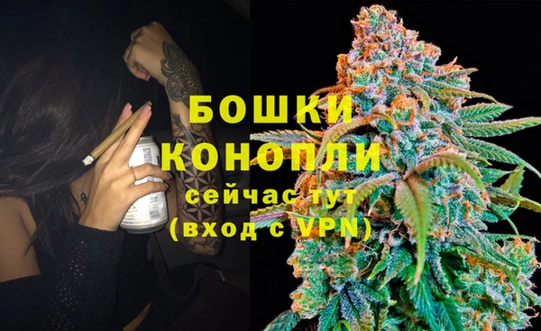 ешки Арсеньев