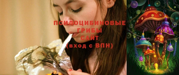 ешки Арсеньев
