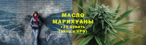 хмурый Аркадак