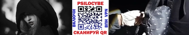 Галлюциногенные грибы Psilocybe  блэк спрут ссылки  Копейск 